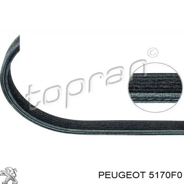 Comprar 5170F0 Peugeot/Citroen Barra de torsión trasera