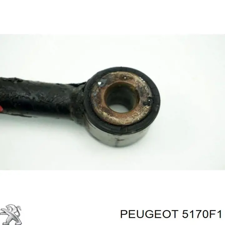  Peugeot/Citroen 5170F1