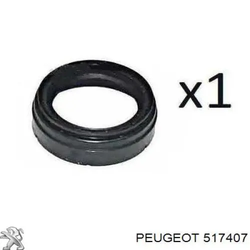 silentblock del eje trasero Peugeot/Citroen 517407