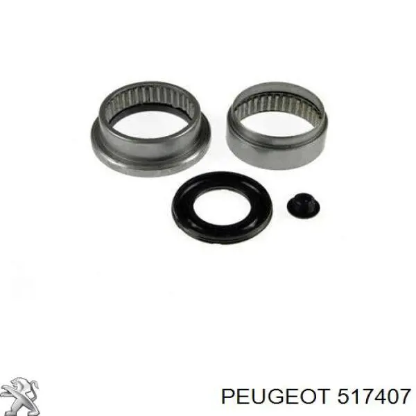 517407 Peugeot/Citroen suspensión, cuerpo del eje trasero