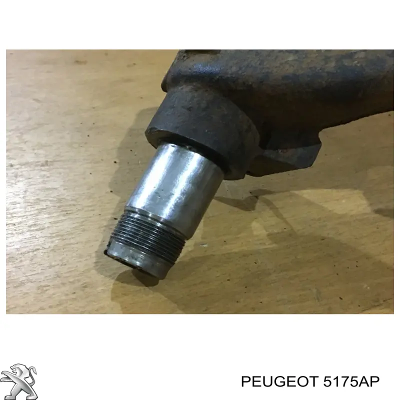 Brazo longitudinal inferior izquierdo de la suspensión trasera Peugeot/Citroen 5175AP precio, desde 75,50 EUR