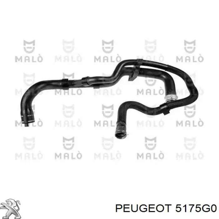 5175G0 Peugeot/Citroen brazo suspension trasero inferior izquierdo