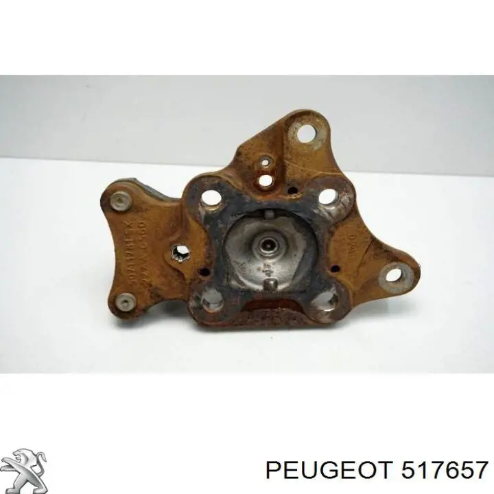 Mangueta trasera izquierda Peugeot/Citroen 517657 precio, desde 380,11 EUR