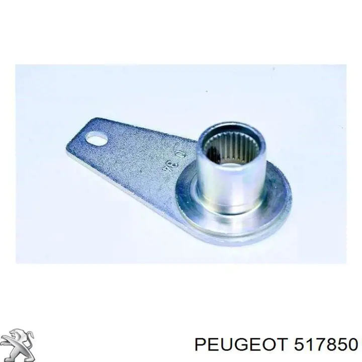 Soporte, barra de torsión trasera para Peugeot 206 (2D)