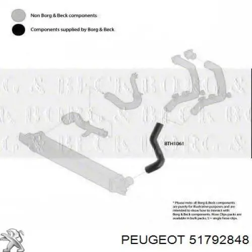 51792848 Peugeot/Citroen tubo flexible de aire de sobrealimentación izquierdo