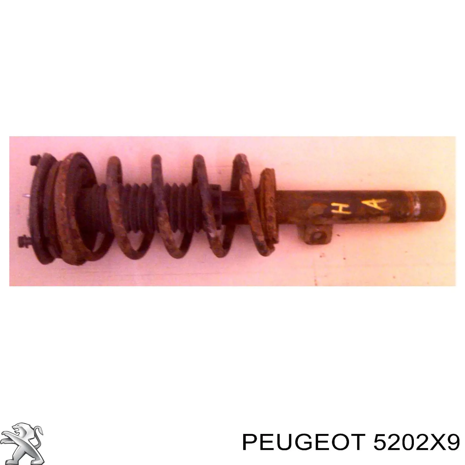 Amortiguador delantero derecho Peugeot/Citroen 1635541280 precio, desde 60,50 EUR