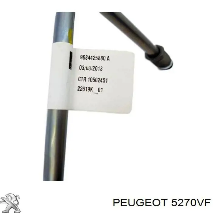 Tubo Neumatico Amortiguador Trasero Derecho para Citroen C5 (TD/X7)