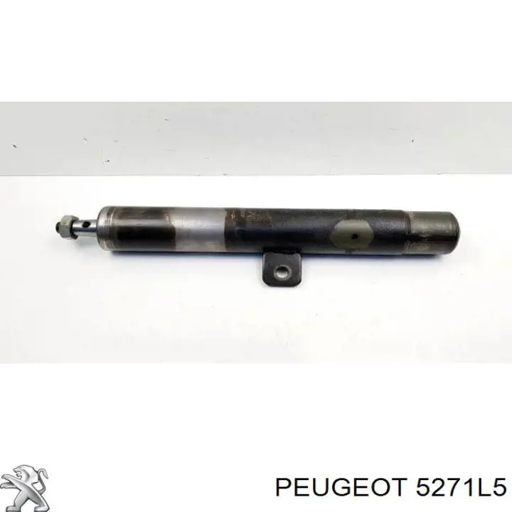 5271L5 Peugeot/Citroen Amortiguador frontal izquierdo