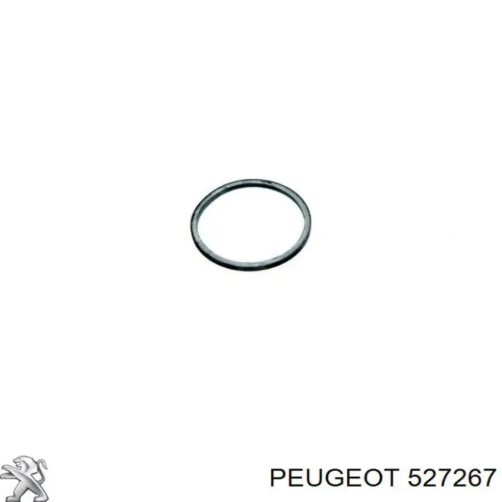 527267 Peugeot/Citroen Esfera de amortiguación trasera