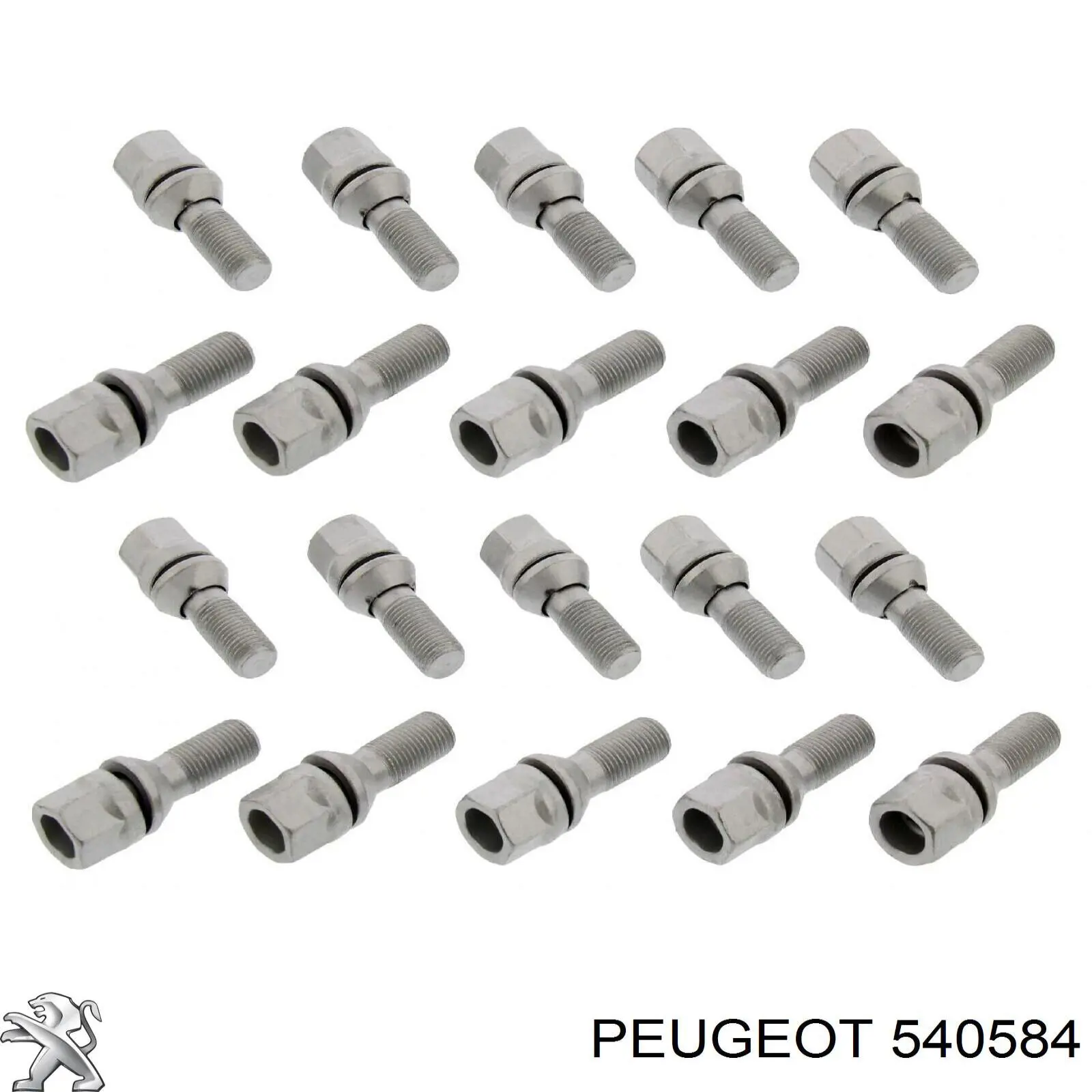 540584 Peugeot/Citroen tornillo