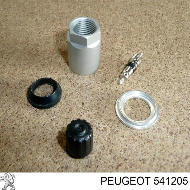 Montaje sensor de neumaticos para Peugeot 807 (E)