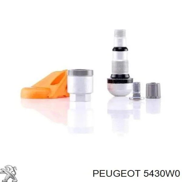 Sensor De Presion De Neumaticos Renault Megane 1 LA0, LA1