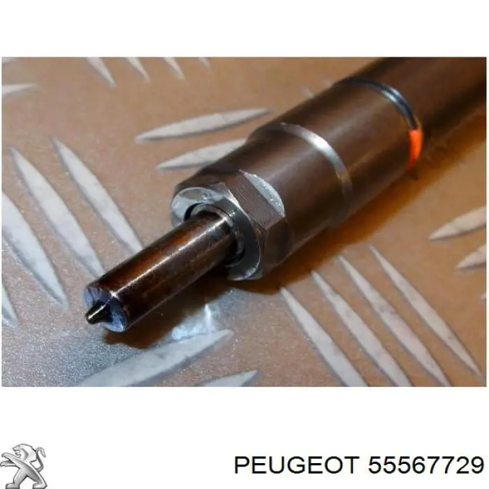 55567729 Peugeot/Citroen inyector
