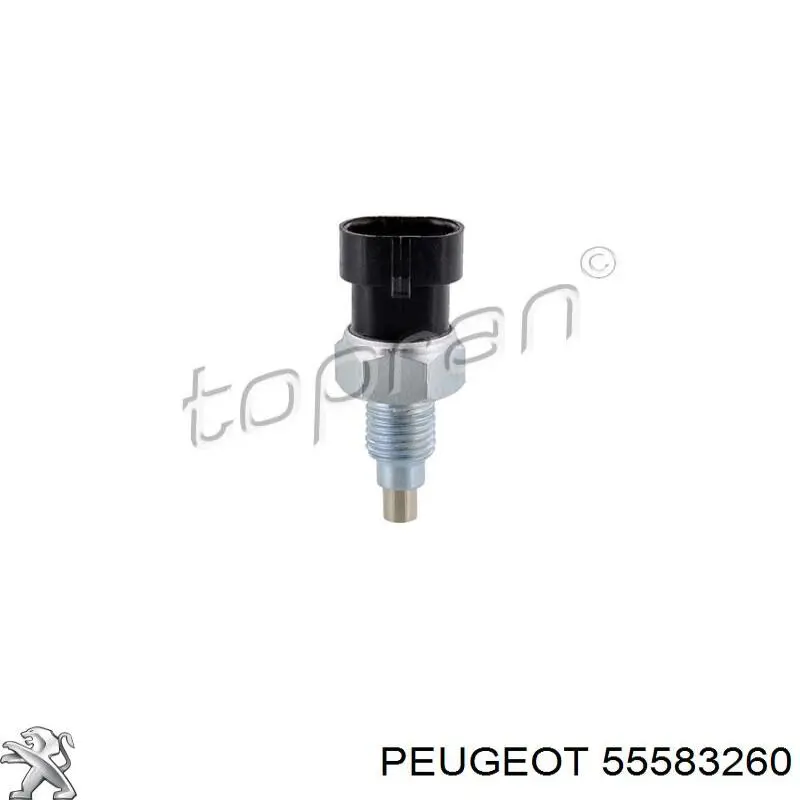 Rodamiento caja de cambios 55583260 Peugeot/Citroen