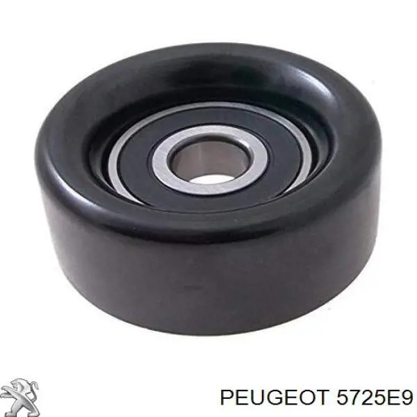 5725E9 Peugeot/Citroen cojinete, alternador