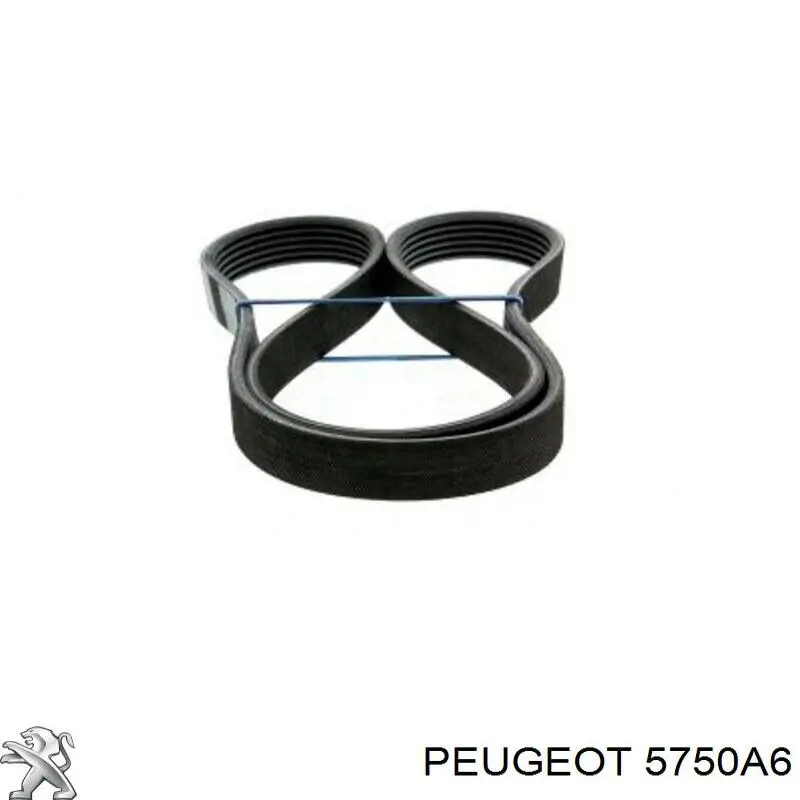 Correa trapezoidal Nissan Qashqai 2 J11