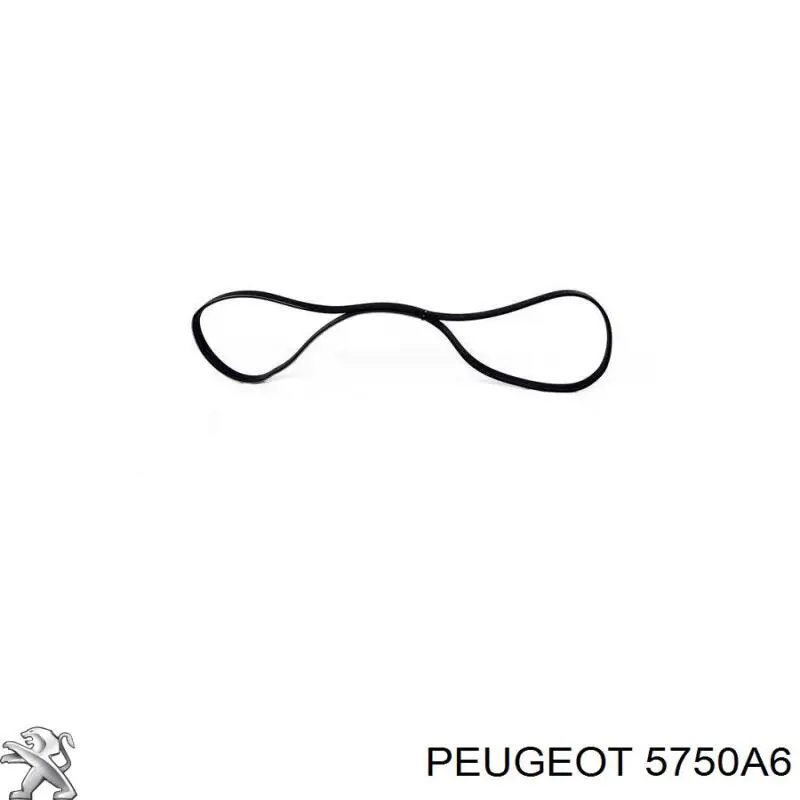 Correa trapezoidal Nissan Qashqai 2 J11