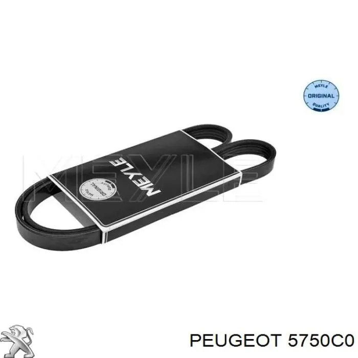 Correa de alternador FB5PK1153 INA