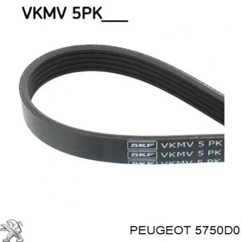 Correa trapezoidal Jeep Grand Cherokee 1 Z