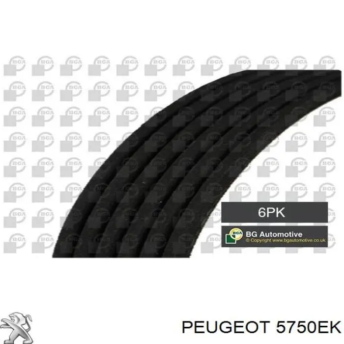 5750EK Peugeot/Citroen correa trapezoidal