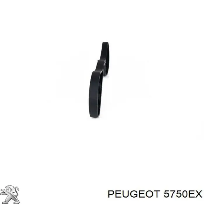 5750EX Peugeot/Citroen correa trapezoidal