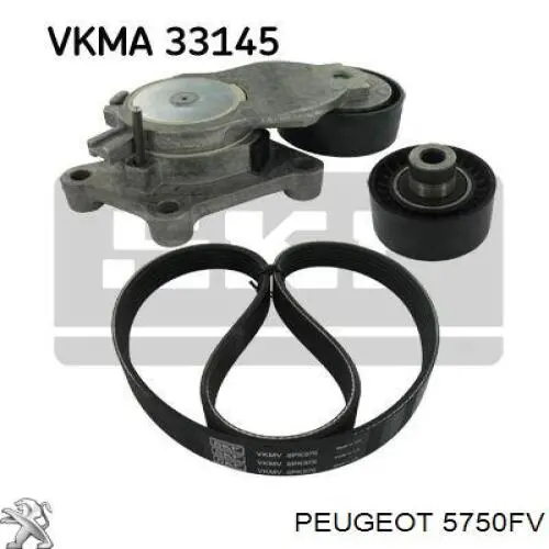Correa de alternador 5750FV Peugeot/Citroen