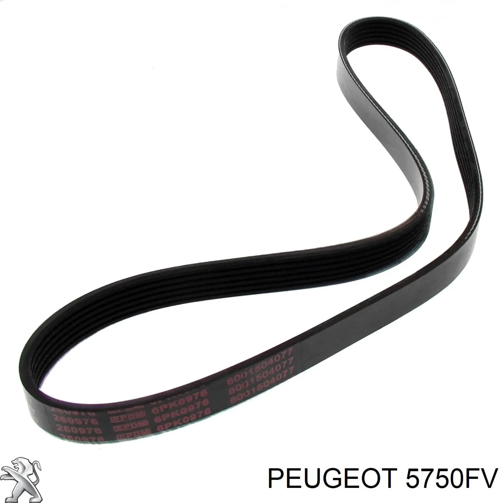 Correa accesorios Peugeot/Citroen 5750FV