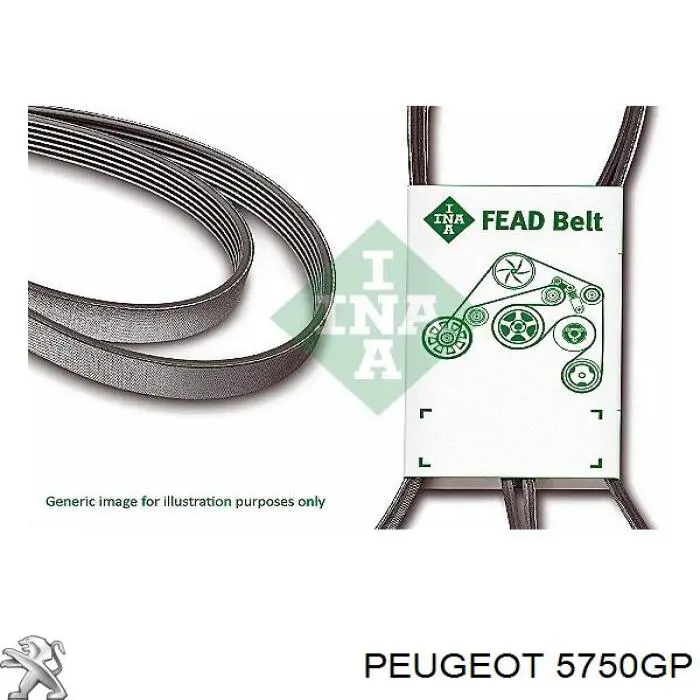 Correa de transmisión trapezoidal Peugeot/Citroen 5750GP precio, desde 17,97 EUR