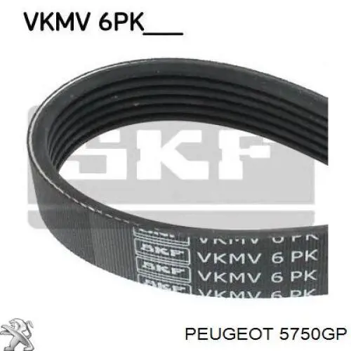 Comprar 5750GP Peugeot/Citroen Correa trapezoidal