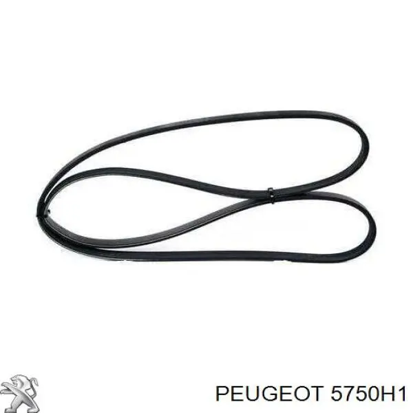 5750H1 Peugeot/Citroen correa trapezoidal