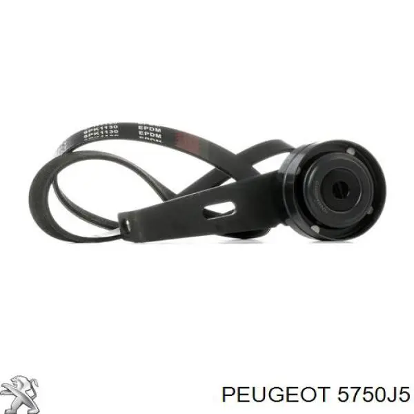 Correa trapezoidal Nissan Qashqai 2 J11