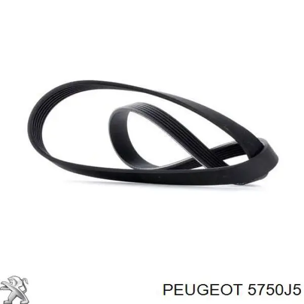 Correa trapezoidal Nissan Qashqai 2 J11