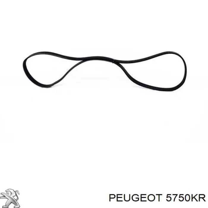 Correa de transmisión trapezoidal Peugeot/Citroen 5750KR precio, desde 17,12 EUR