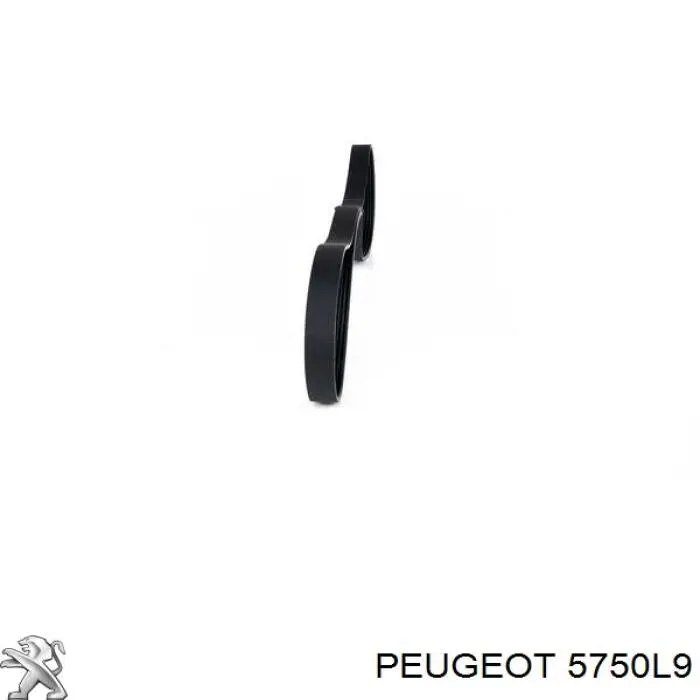 5750L9 Peugeot/Citroen correa trapezoidal