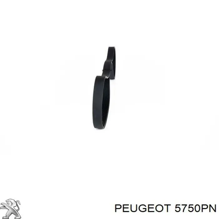 5750PN Peugeot/Citroen correa trapezoidal