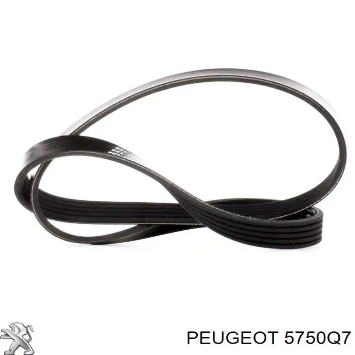 5750Q7 Peugeot/Citroen correa trapezoidal