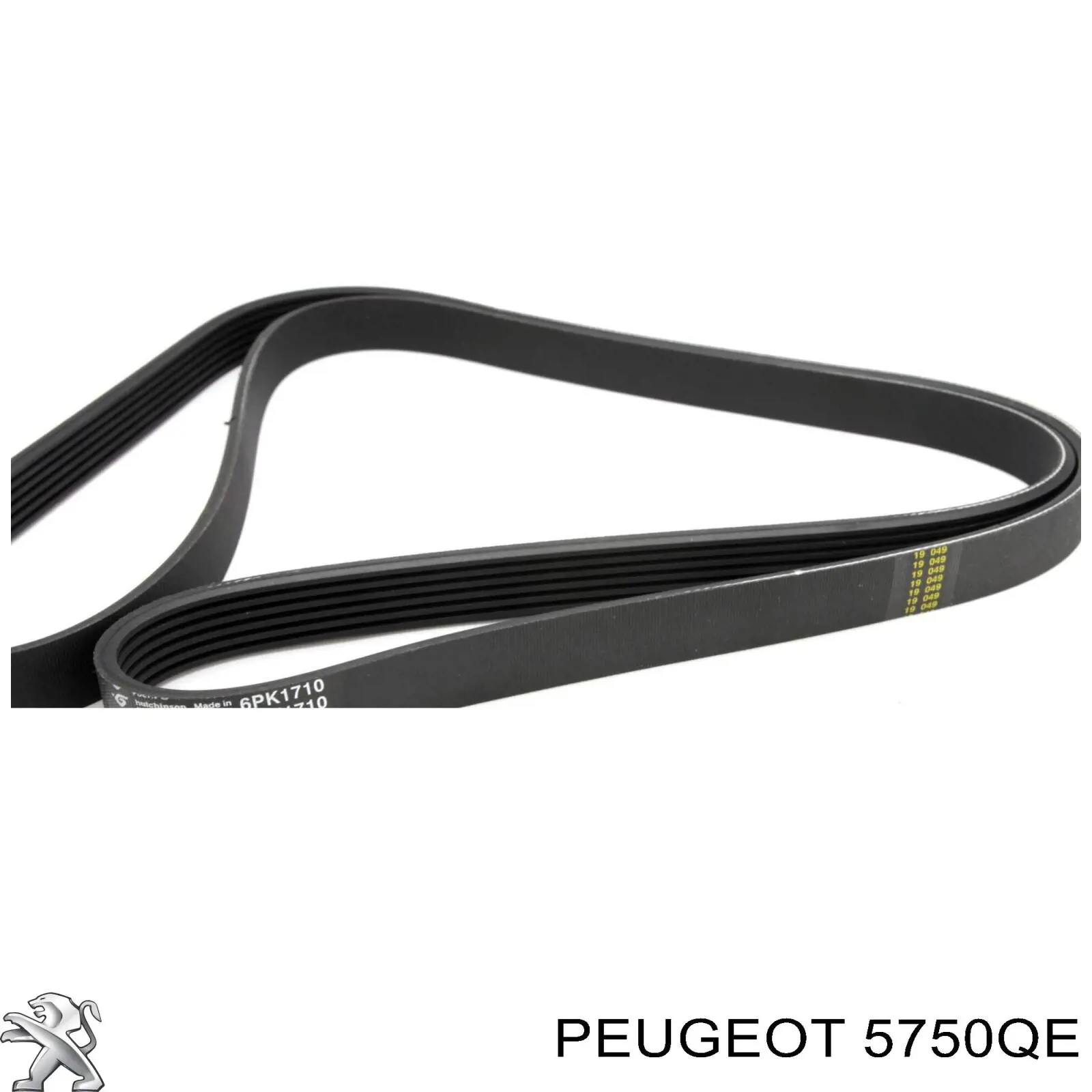 Correa de alternador 5750QE Peugeot/Citroen