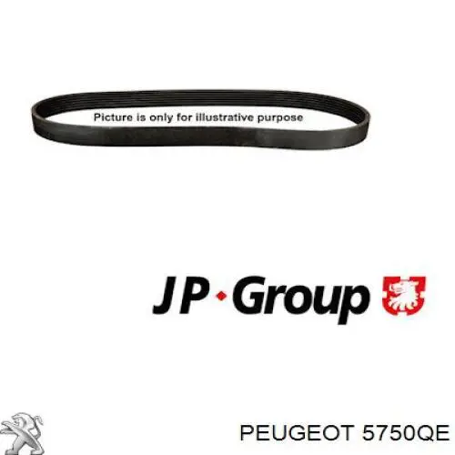 5750QE Peugeot/Citroen correa trapezoidal