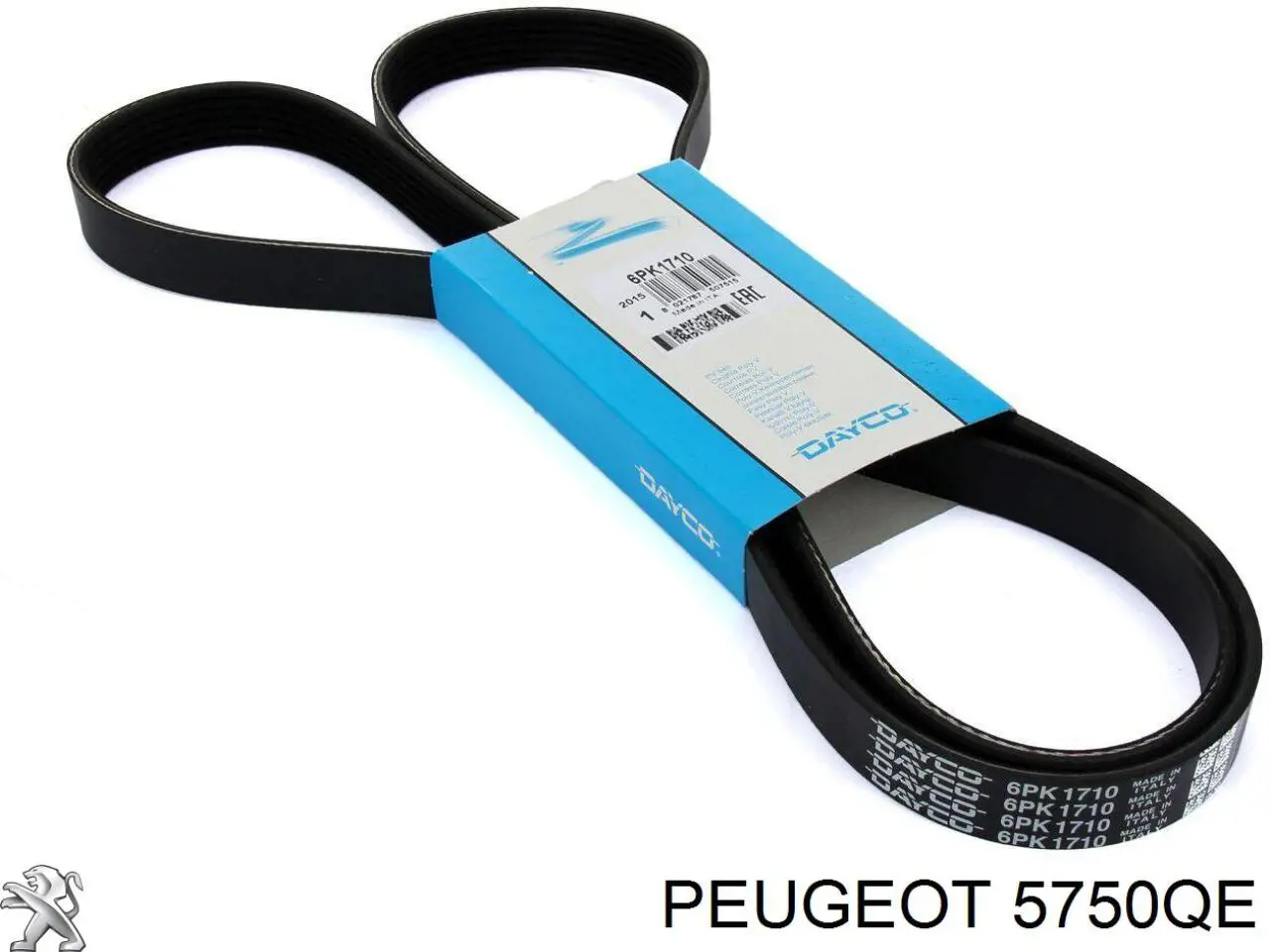 5750QE Peugeot/Citroen Correa poly v