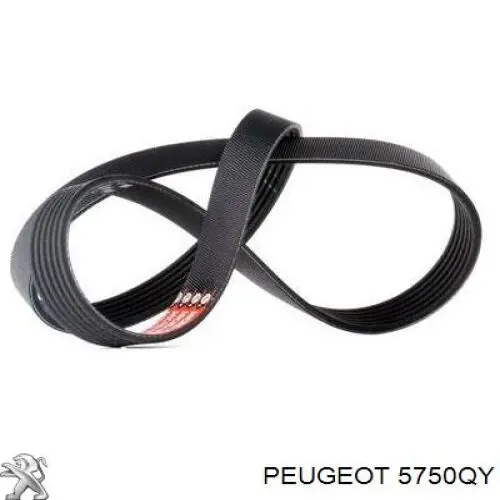 5750QY Peugeot/Citroen correa trapezoidal
