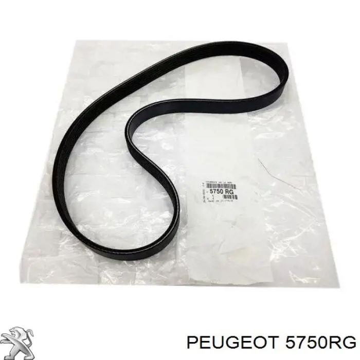 Comprar 5750RG Peugeot/Citroen Correa trapezoidal
