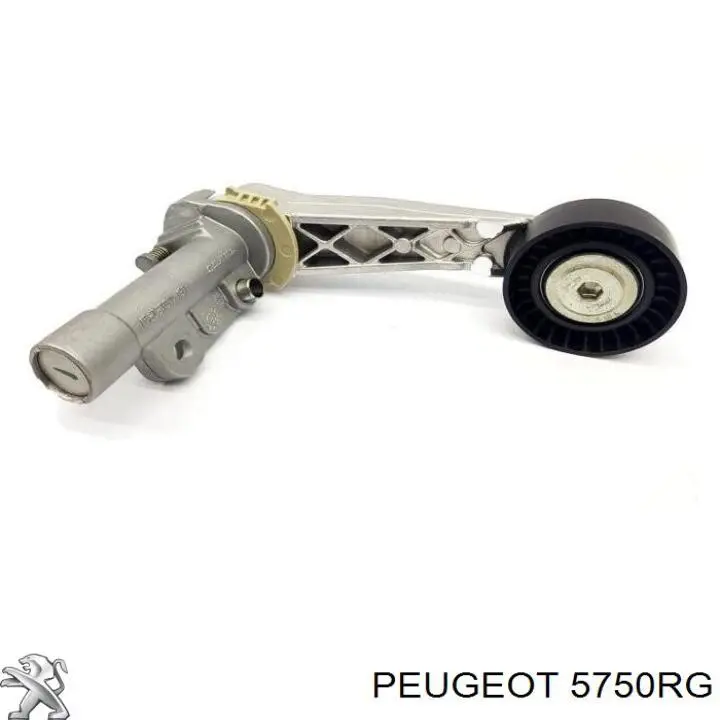 Correa de alternador 5750RG Peugeot/Citroen