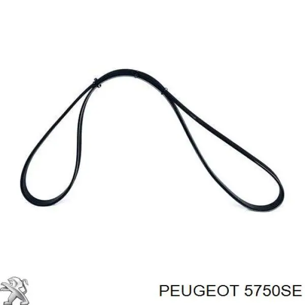 Correa de transmisión trapezoidal Peugeot/Citroen 5750SE precio, desde 7,83 EUR