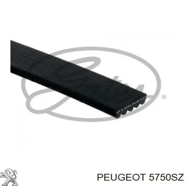 5750SZ Peugeot/Citroen correa trapezoidal