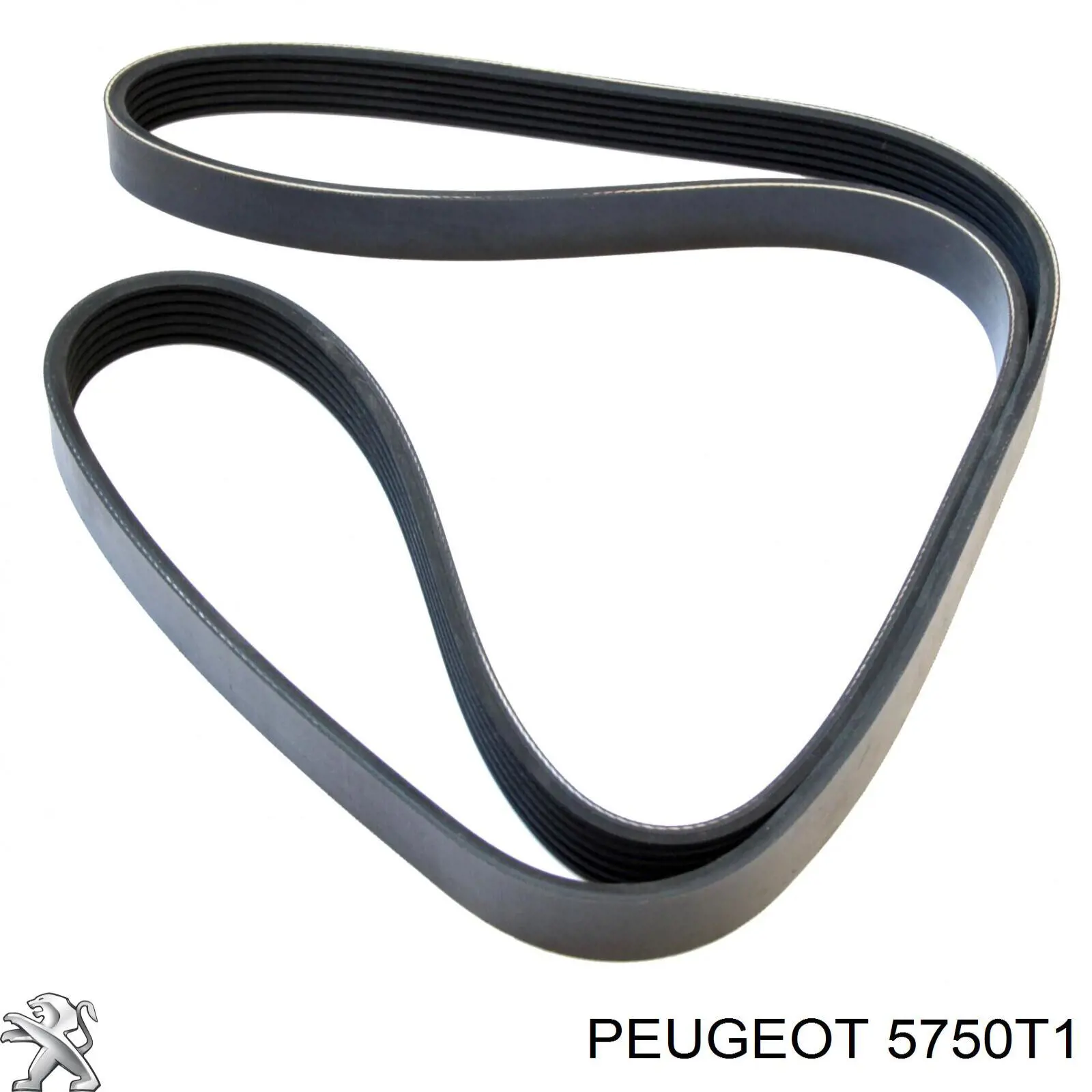 5750T1 Peugeot/Citroen correa trapezoidal