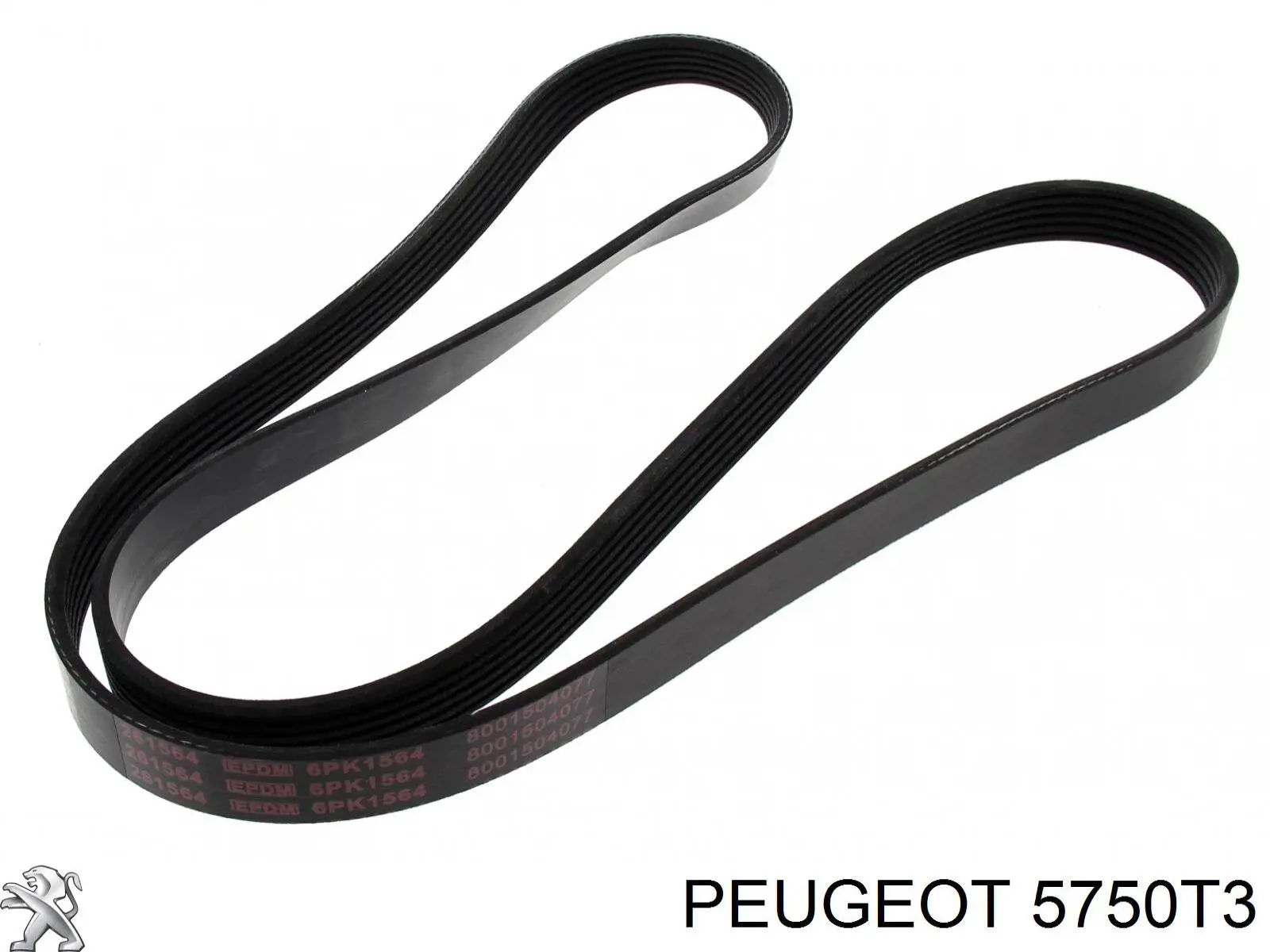 Correa de transmisión trapezoidal Peugeot/Citroen 5750T3 precio, desde 15,64 EUR