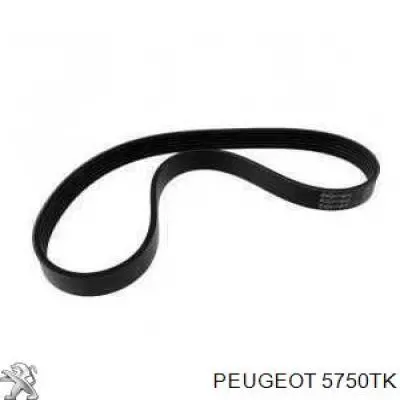 Correa trapezoidal Nissan Qashqai 2 J11