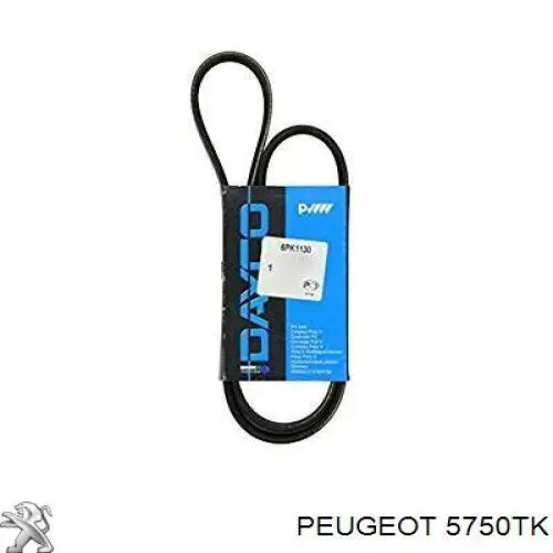 Correa trapezoidal Nissan Qashqai 2 J11