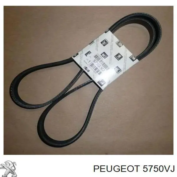 Comprar 5750VJ Peugeot/Citroen Correa trapezoidal