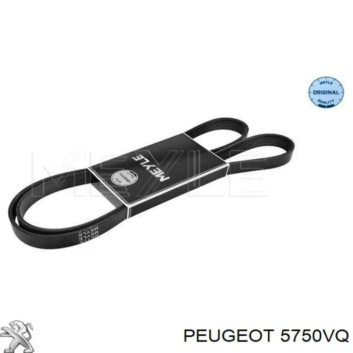 Correa de transmisión trapezoidal Peugeot/Citroen 5750VQ precio, desde 14,26 EUR